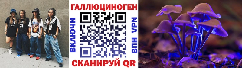 Купить  Гвардейск  Псилоцибиновые грибы Magic Shrooms 